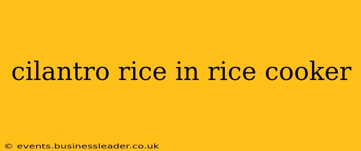 cilantro rice in rice cooker
