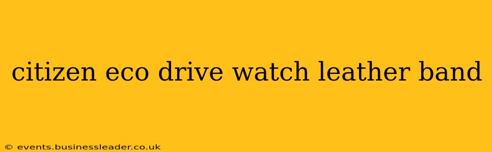citizen eco drive watch leather band