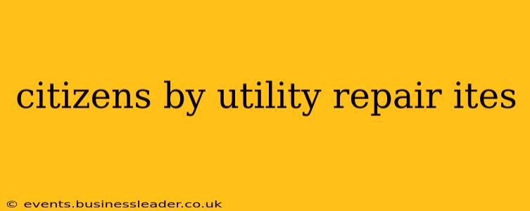 citizens by utility repair ites
