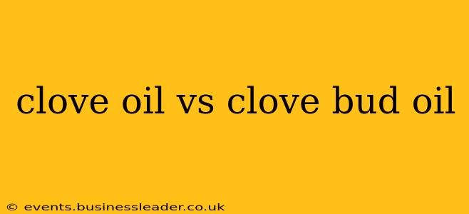 clove oil vs clove bud oil
