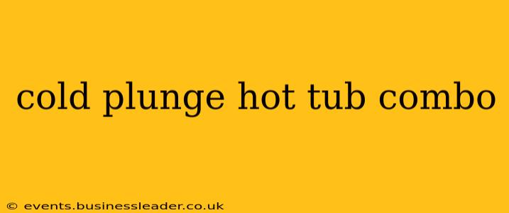 cold plunge hot tub combo