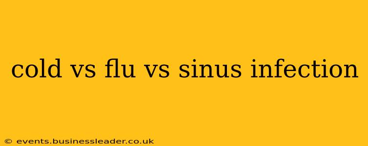 cold vs flu vs sinus infection