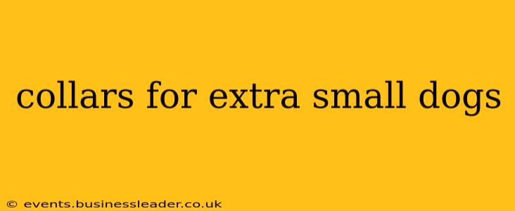 collars for extra small dogs