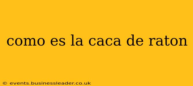 como es la caca de raton
