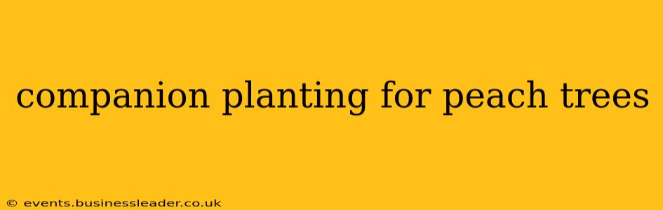 companion planting for peach trees