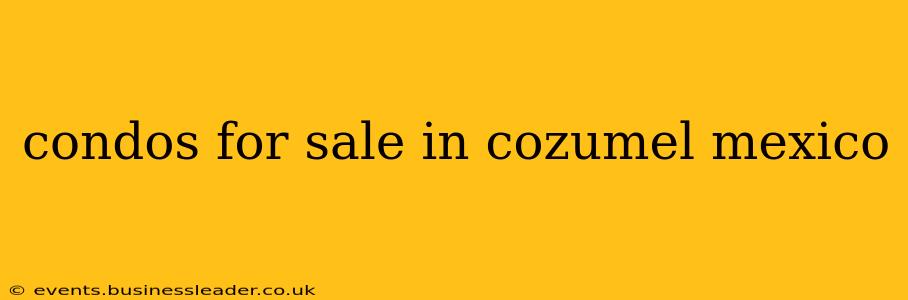 condos for sale in cozumel mexico