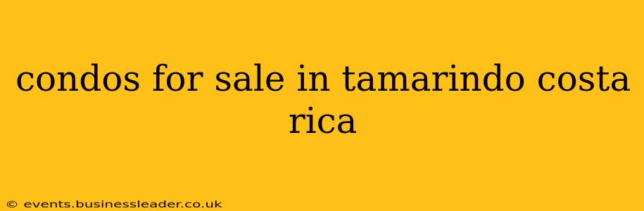 condos for sale in tamarindo costa rica