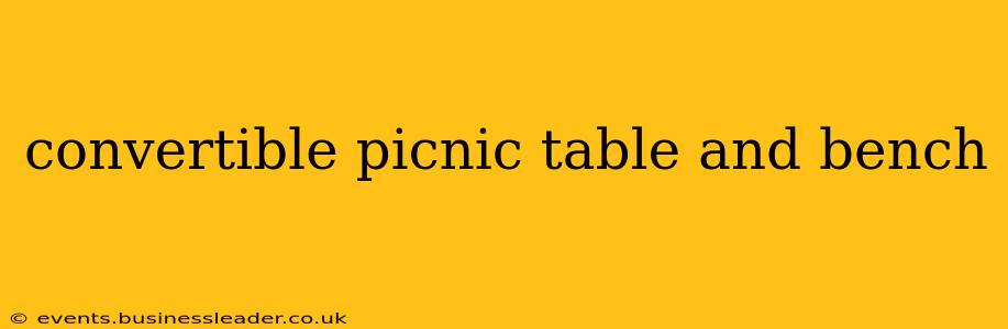 convertible picnic table and bench