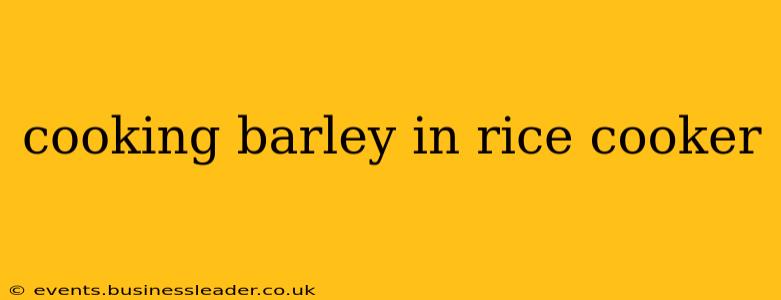 cooking barley in rice cooker