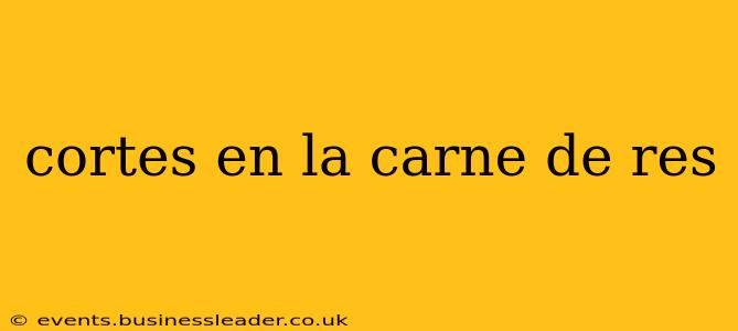 cortes en la carne de res