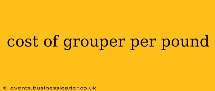 cost of grouper per pound