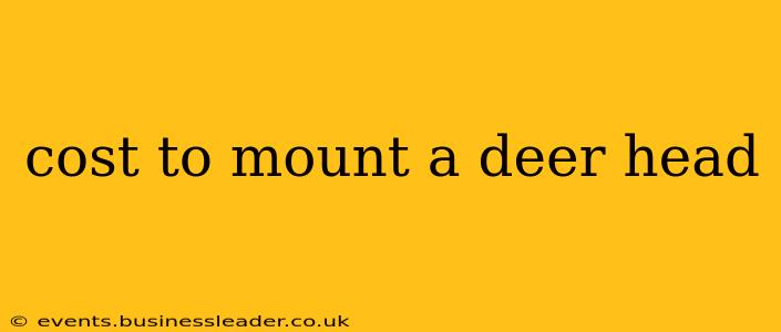 cost to mount a deer head