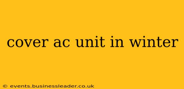 cover ac unit in winter