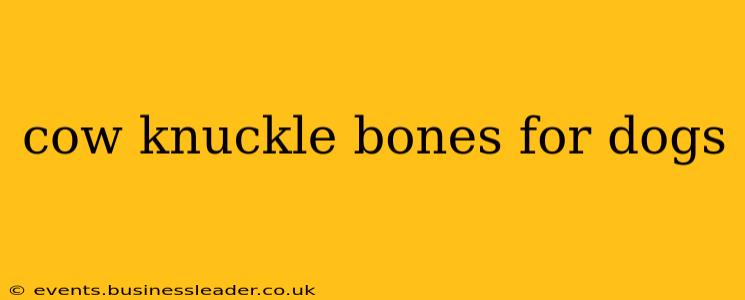 cow knuckle bones for dogs