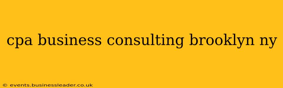 cpa business consulting brooklyn ny