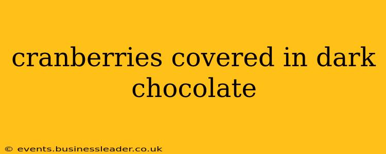 cranberries covered in dark chocolate