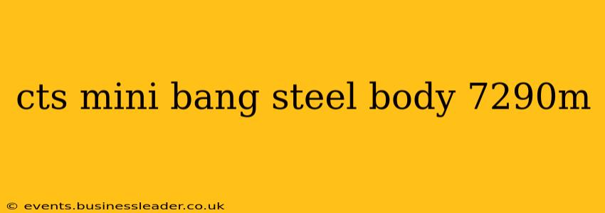 cts mini bang steel body 7290m