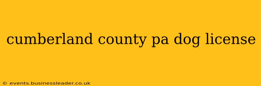 cumberland county pa dog license