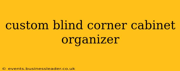 custom blind corner cabinet organizer
