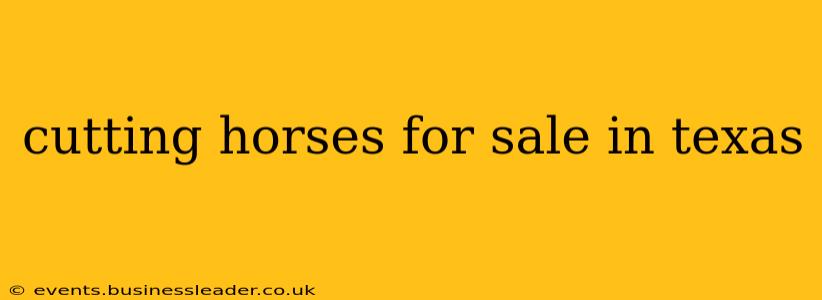 cutting horses for sale in texas