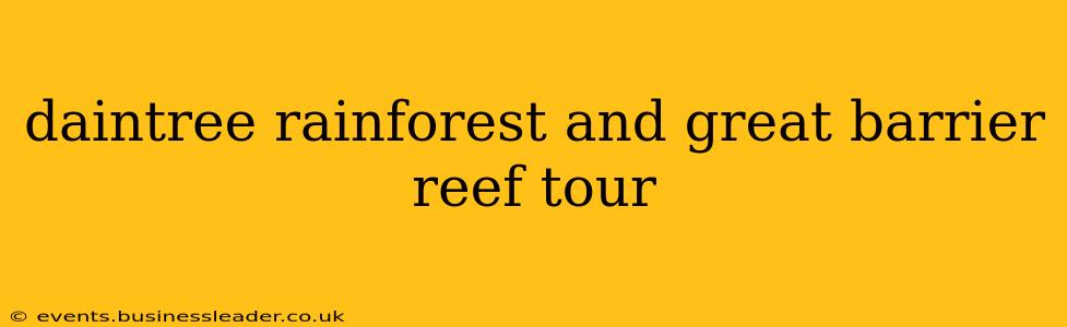 daintree rainforest and great barrier reef tour