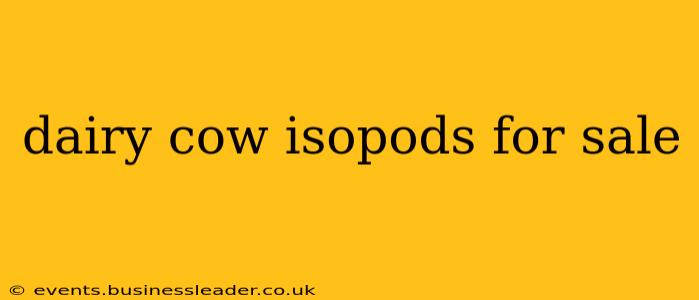 dairy cow isopods for sale