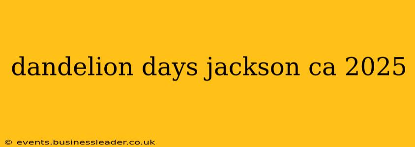 dandelion days jackson ca 2025