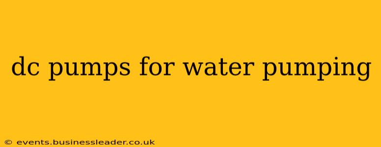 dc pumps for water pumping