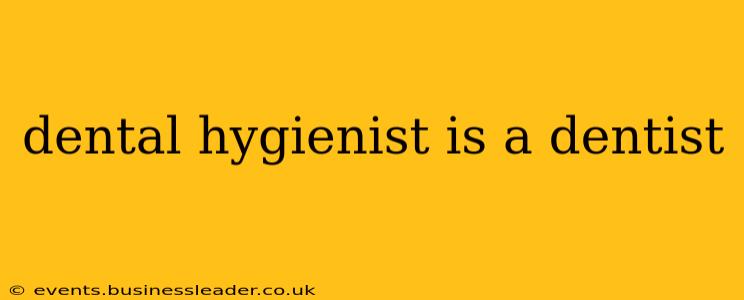 dental hygienist is a dentist
