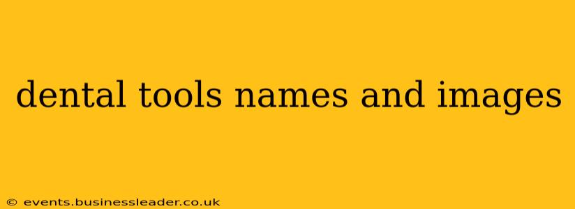 dental tools names and images