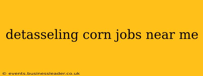 detasseling corn jobs near me