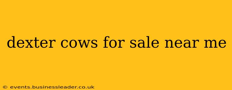 dexter cows for sale near me