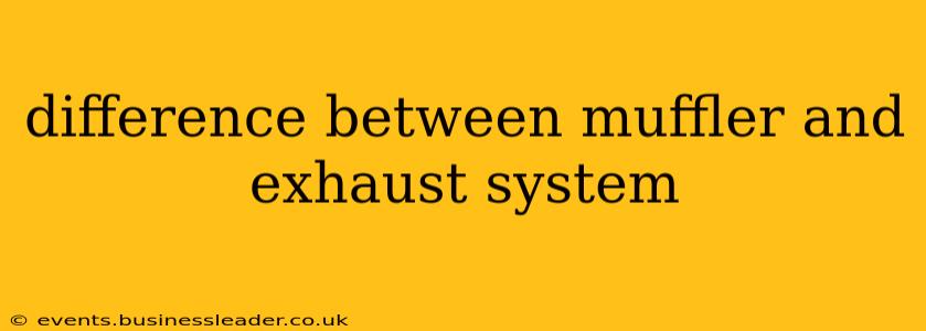 difference between muffler and exhaust system