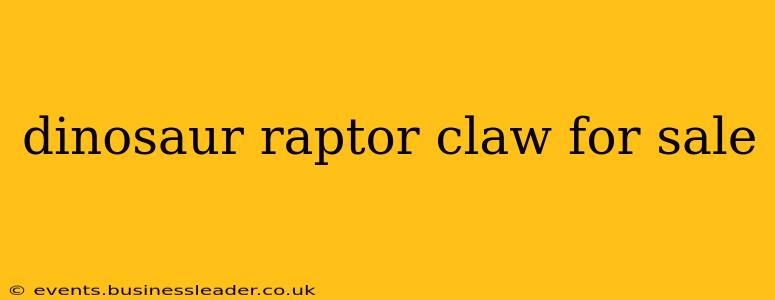 dinosaur raptor claw for sale