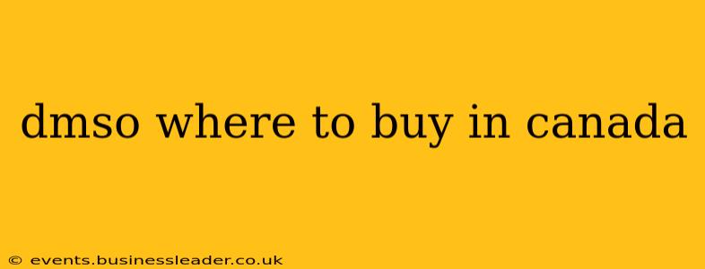 dmso where to buy in canada