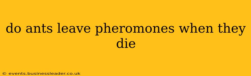 do ants leave pheromones when they die