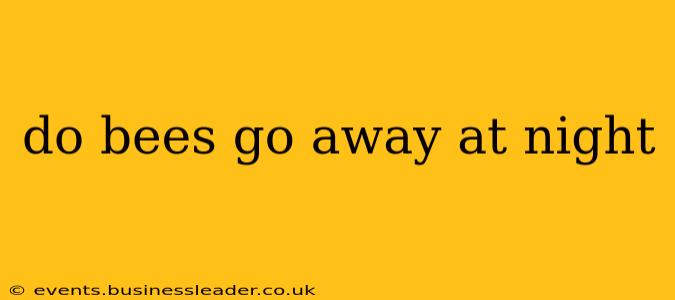 do bees go away at night