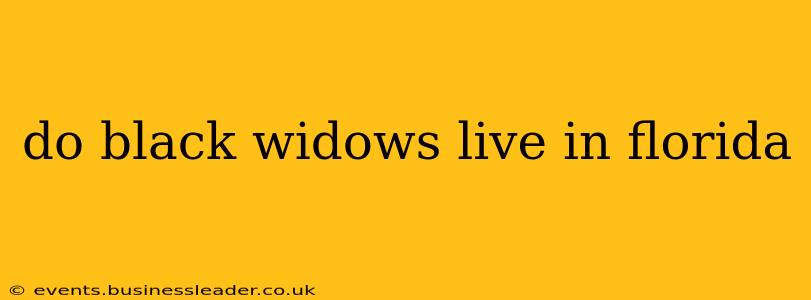 do black widows live in florida