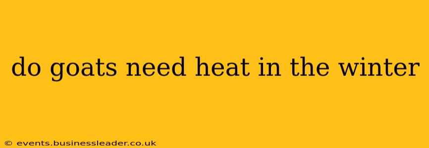 do goats need heat in the winter
