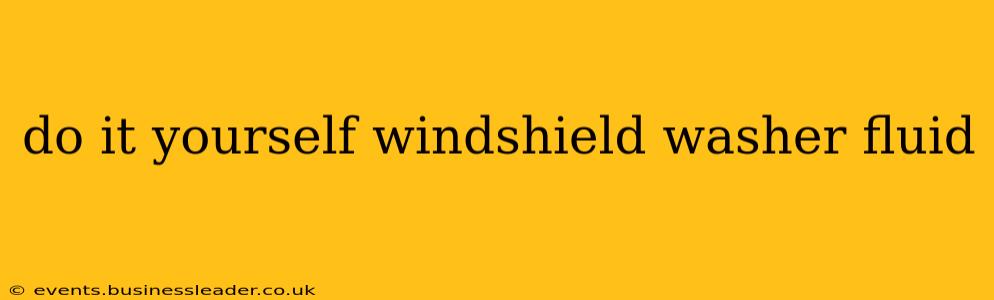 do it yourself windshield washer fluid