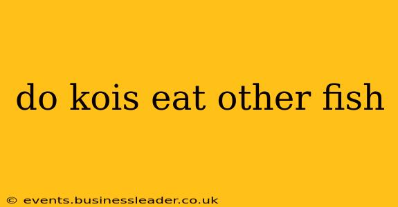 do kois eat other fish