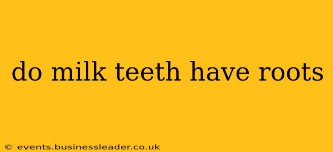 do milk teeth have roots
