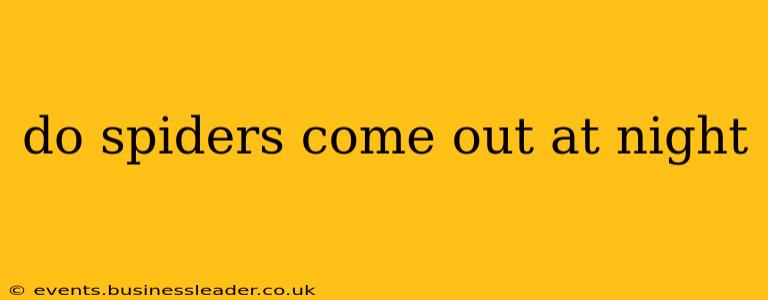 do spiders come out at night