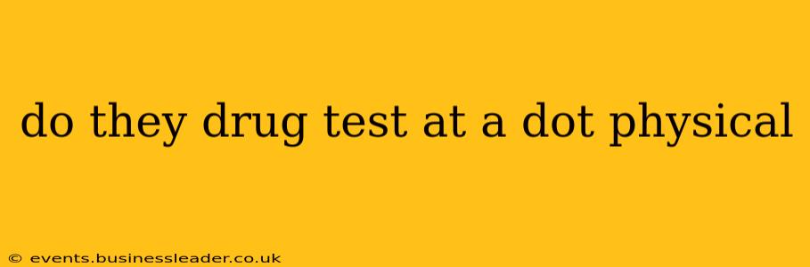 do they drug test at a dot physical