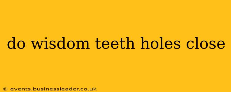 do wisdom teeth holes close
