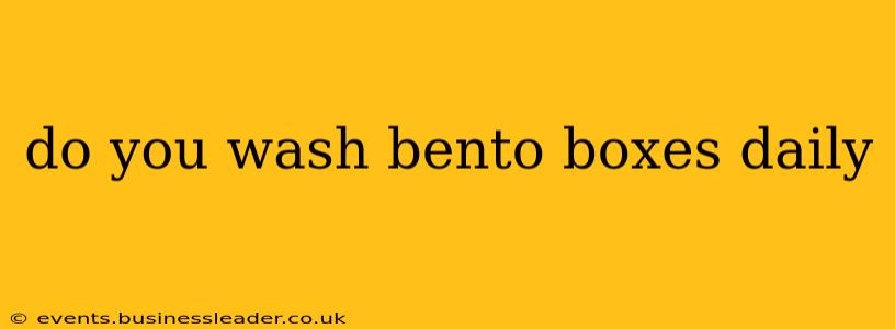 do you wash bento boxes daily