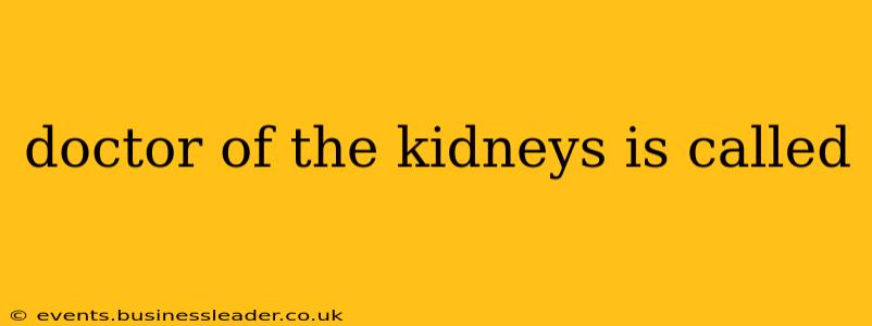 doctor of the kidneys is called