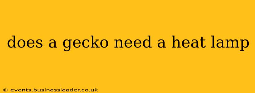 does a gecko need a heat lamp