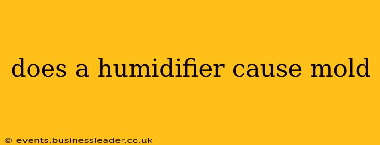does a humidifier cause mold
