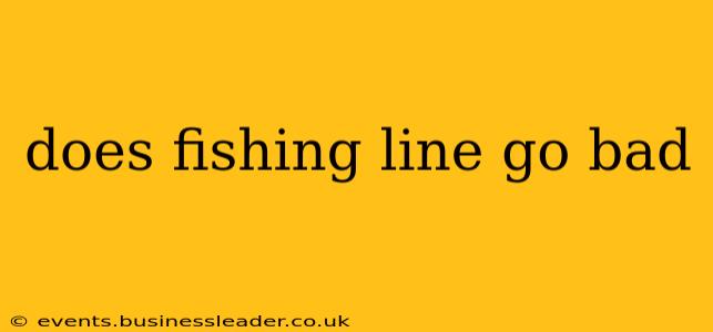 does fishing line go bad